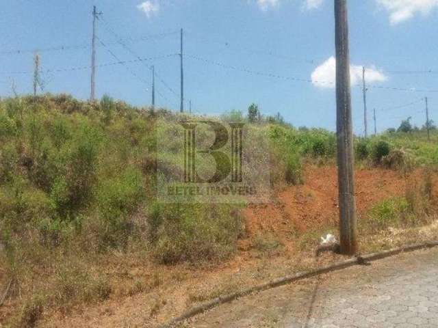 Terreno para Venda em Jaraguá do Sul / SC no bairro Nereu Ramos