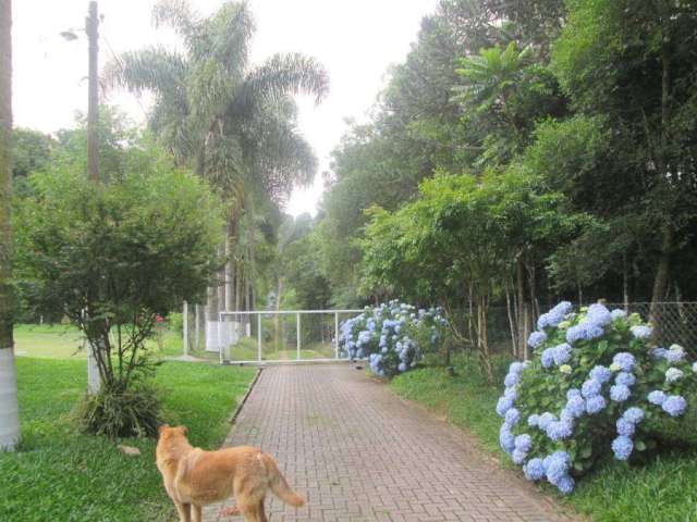 Chácara / sítio com 1 quarto à venda na Zona Rural, São José dos Pinhais  por R$ 686.000