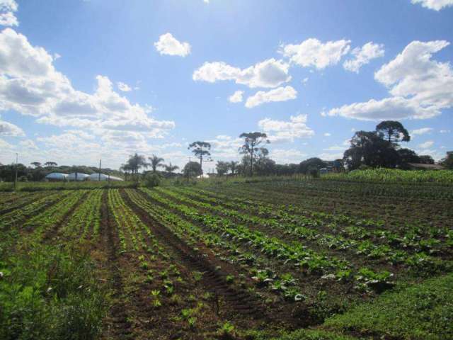 Terreno à venda na Rua domingos benvenuto  moletta, 7584, Campo Largo da Roseira, São José dos Pinhais, 200 m2 por R$ 280.000