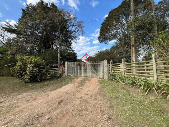 Chácara / sítio com 2 quartos à venda na Rua do Campestre, Zona Rural, São José dos Pinhais por R$ 4.017.000