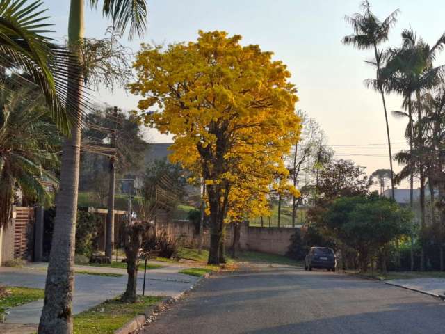 Jd Schaffer Duas Casas Independentes no mesmo Terreno para Uma grande Família