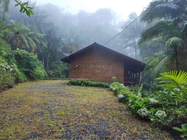 Sítio / Chácara para Venda no bairro Cedro Alto em Rio dos Cedros, 2 quartos,