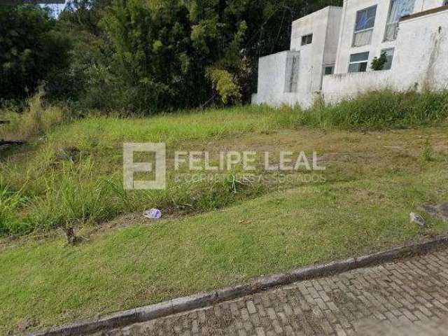 Ótimo e amplo Terreno em Canasvieiras  -  Florianópolis