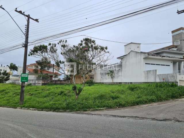 Lote / Terreno em Pedra Branca  -  Palhoça