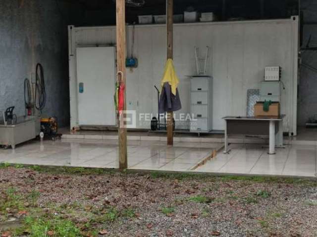 Lote / Terreno em Caminho Novo  -  Palhoça