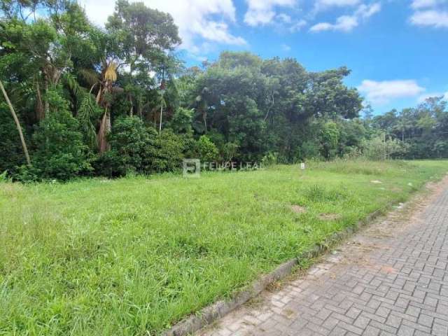 Lote / Terreno em Forquilhas  -  São José