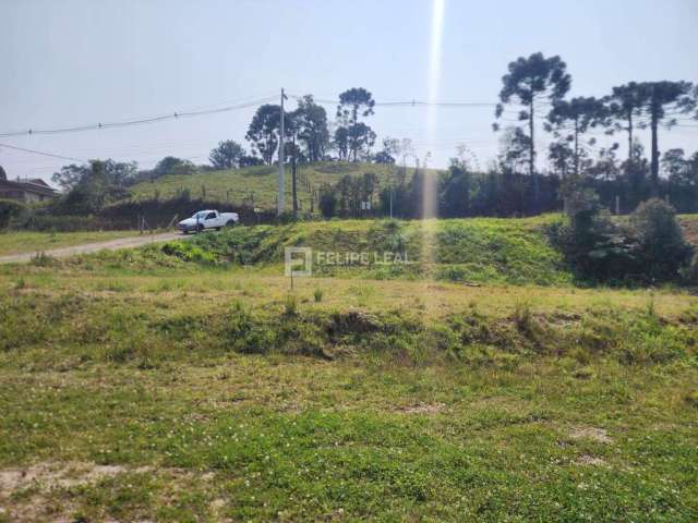 Lote / Terreno em Morro Chato  -  Rancho Queimado