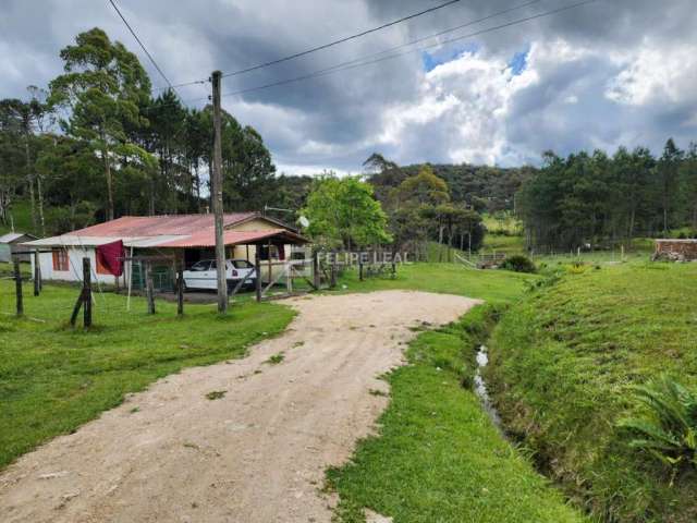 Sítio em Águas Claras  -  Rancho Queimado