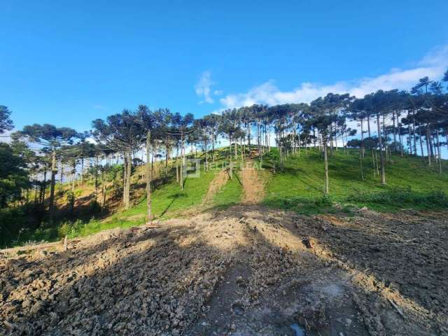 Terreno Área em Pinheiral  -  Rancho Queimado