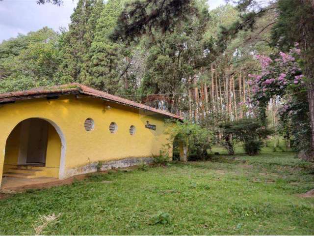 RP4 - Vende chácara de 5.000 m2  com casa antiga. São Roque / SP