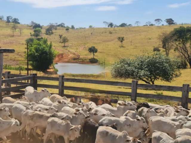 Fazenda a Venda perto de GOIANESIA/GO