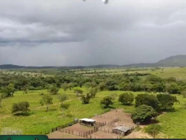 Fazenda em Paranã TO com 6.255 Hectares