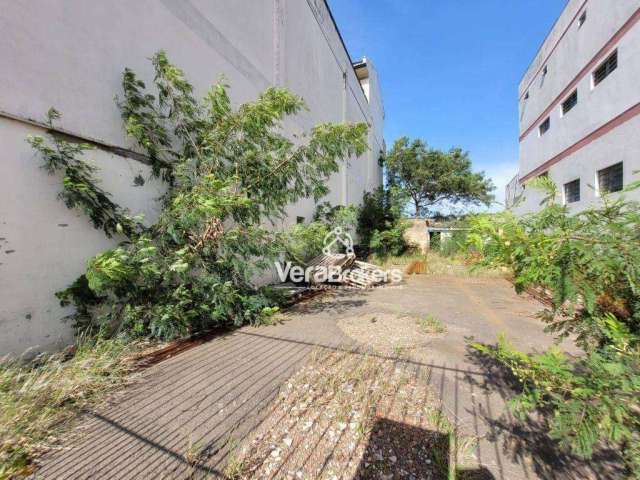 Terreno para alugar, 250 m² por R$ 2.500,00/mês - Jansen - Gravataí/RS