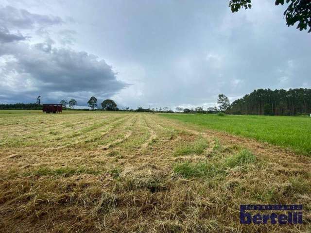 Terreno à venda, 1250 m² por R$ 600.000,00 - Loteamento Aeródromo Vale Eldorado - Bragança Paulista/SP