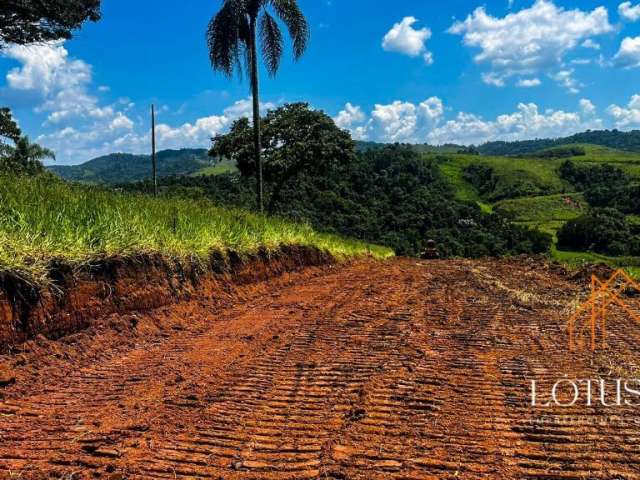 Terrenos com vista para a natureza em santa isabel