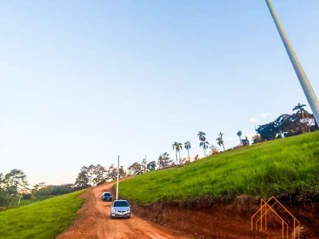 Terrenos com vista para a natureza em santa isabel