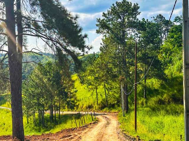 Seu terreno em santa isabel – acesso rápido e pronto para construir!