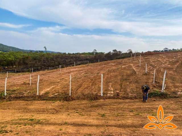 .Invista em Cotia:Terrenos com Preços ótimos