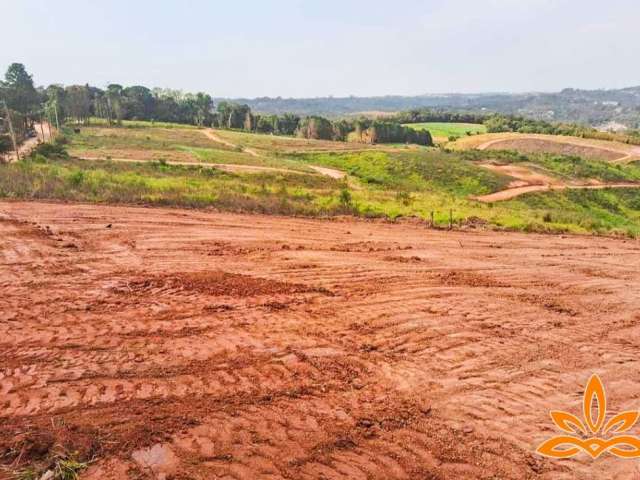 .Invista em Cotia:Terrenos com Preços ótimos