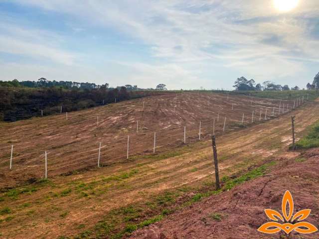 .Seu Espaço Ideal:Terrenos Disponíveis Cotia