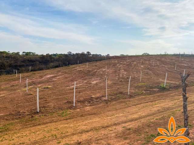 .Terrenos em Cotia:Natureza e Tranquilidade