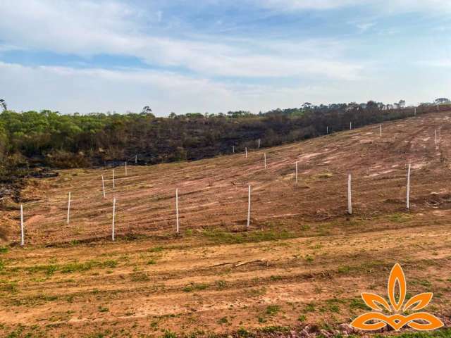 .construa seu sonho:terrenos á venda em cotia.