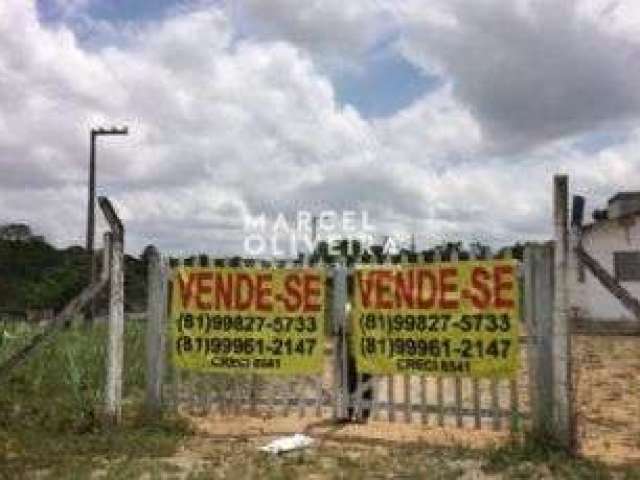 Vendo área com 05 hectares as margens da br 408, km 90 em paudalho/pe