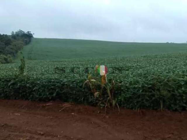 Fazenda  em itapetininga-sp