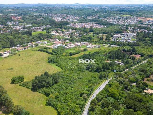 Terreno à venda, 17.000 m² por R$ 14.000.000 - Santa Felicidade - Curitiba/PR