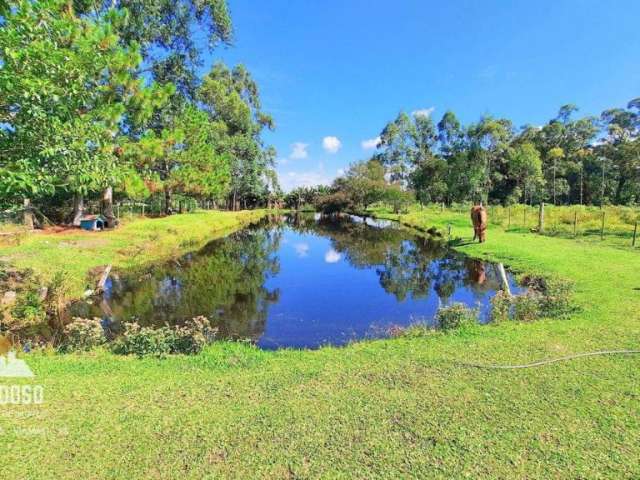 VENDO Sítio de 2.5ha com 2 Açudes, Excelente Área para Hortifrúti, por R$ 250.000 - Águas Claras - Viamão/RS