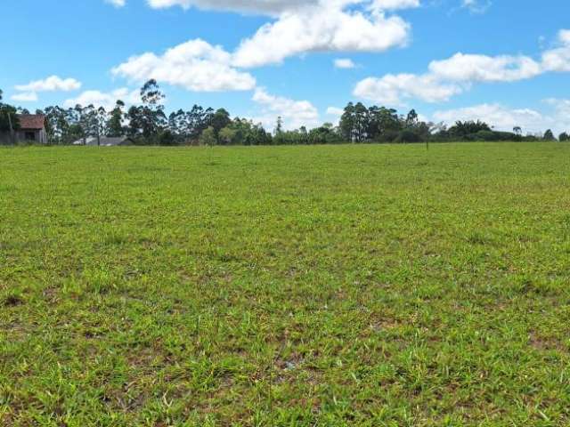 OPORTUNIDADE !! VENDO Terreno com 1000m2, com acesso a Lagoa por R$ 45.000 em Águas Claras - Viamão.