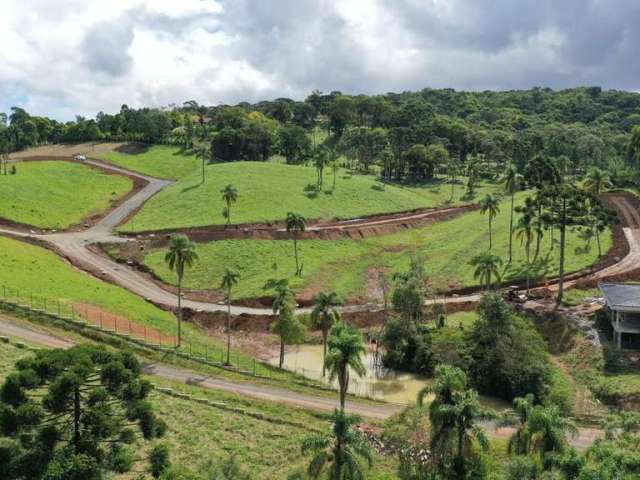 Lote/Terreno de 1200m² no bairro Bateias de baixo, em Campo Alegre