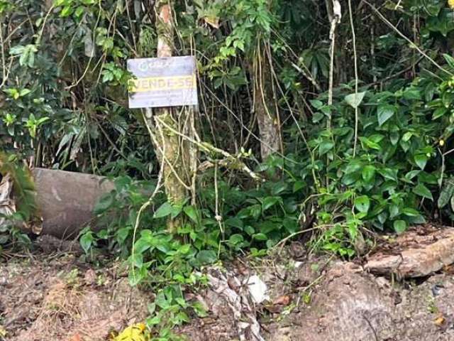 Terreno para Venda em São Sebastião, Boraceia