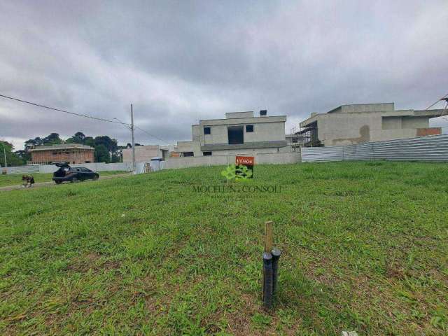 Terreno à venda, 350 m² por R$ 700.000,00 - Afonso Pena - São José dos Pinhais/PR