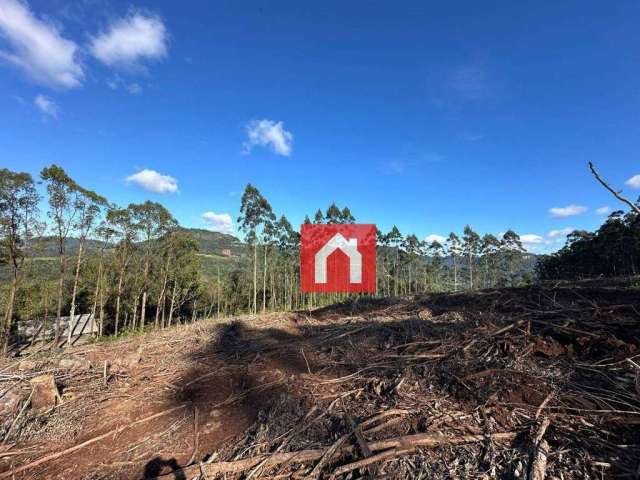 Área à venda, 70000 m² por R$ 525.000,00 - Zona Rural - Carlos Barbosa/RS