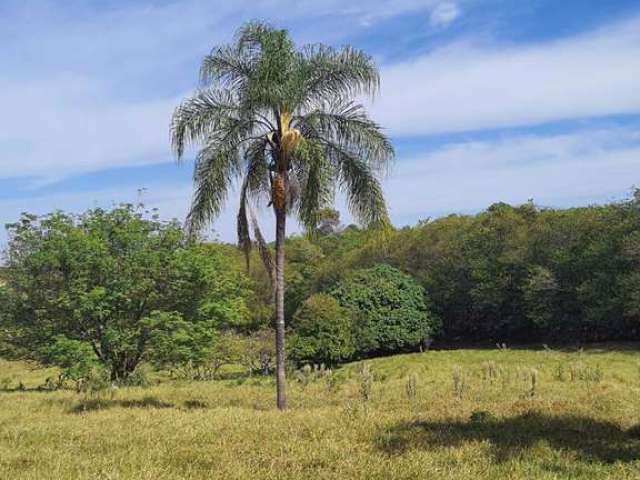 Fazenda à venda no Sousas, Campinas , 150 m2 por R$ 2.510.000