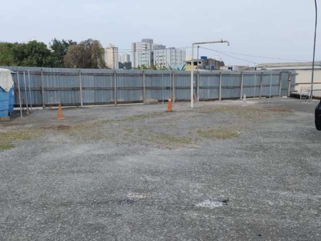 Locação: Terreno na Fernão Dias - Vila Galvão com 1000m2