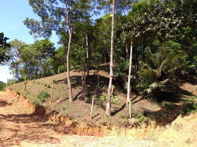 Terreno à venda, 770 m² por R$ 140.000,00 - Trindade - Paraty/RJ