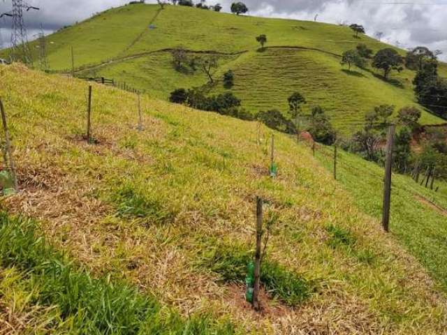 Chácara com 1 dormitório à venda, 80000 m² por R$ 1.050.000 - Itajubá/MG