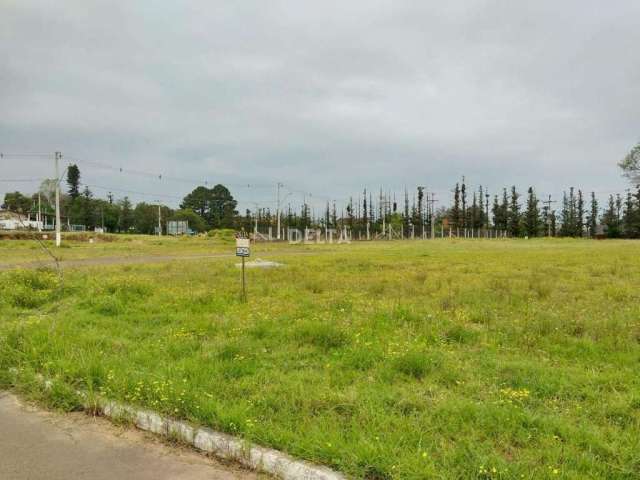 Terreno à venda, 444 m² - Campo Grande - Estância Velha/RS