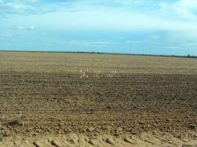 Fazenda à venda, ÁREA RURAL, LORETO - MA