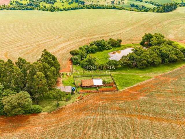 Fazenda, à venda, zona rural, ouro verde do oeste - pr