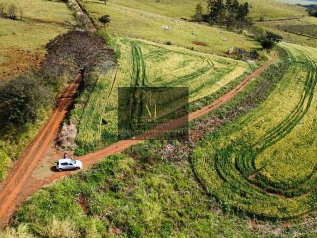 Terreno em tomazina pr