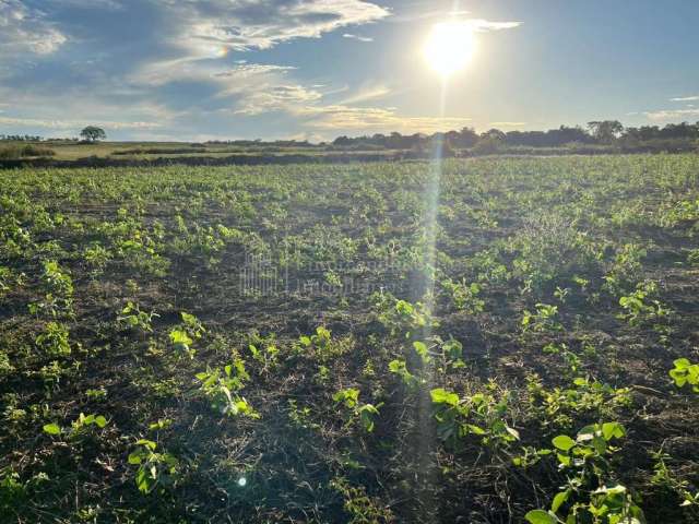 Fazenda à venda em Bodoquena, ZONA RURAL, BODOQUENA - MS