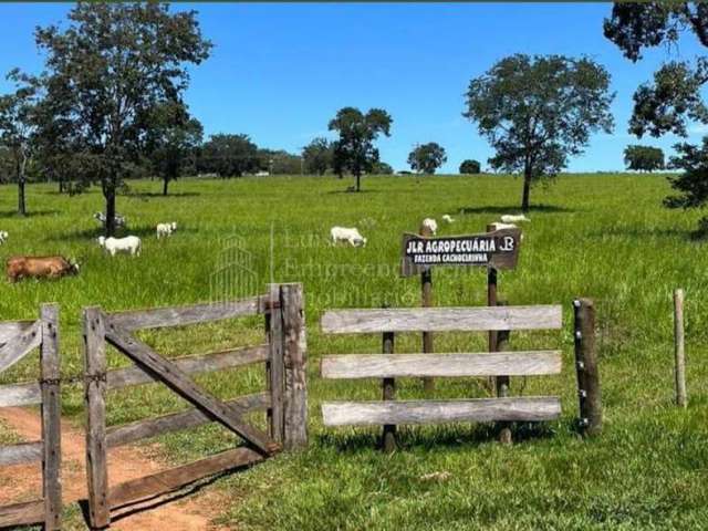 Fazenda à venda, ZONA RURAL, TERENOS - MS