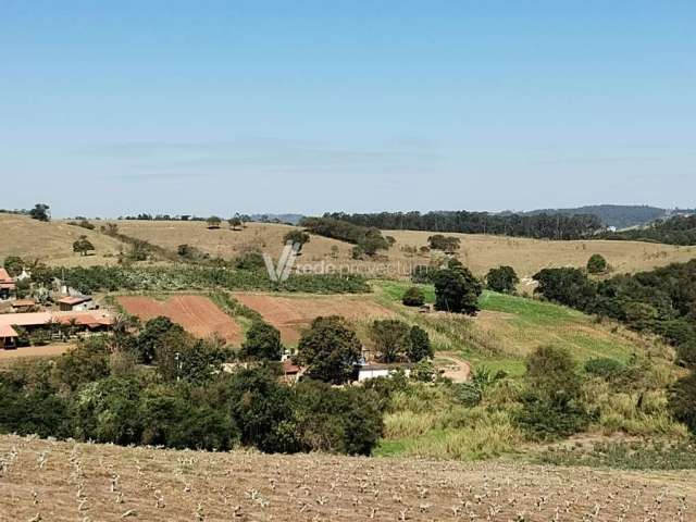 Chácara / sítio com 5 quartos à venda na Rua Francisco Juliato, s/n°, Morro das Pedras, Valinhos, 120 m2 por R$ 3.990.000