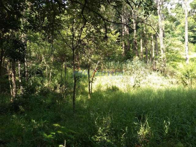 Terreno comercial à venda na Rua Theodosio Rodriguez Otero, s/n°, Joaquim Egídio, Campinas por R$ 530.000