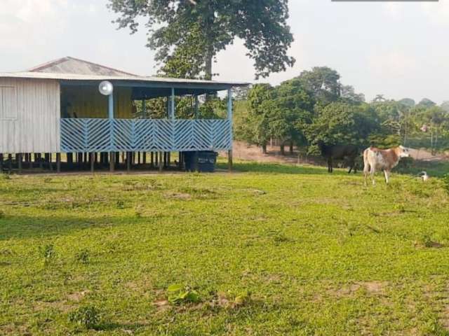 vendo um sitio  com lindo terreno para plantação.