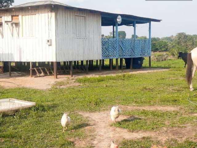 vendo um sitio  com lindo terreno para plantação.