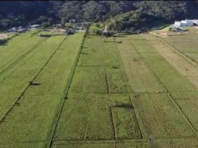 Terreno à venda, 66000 m² por R$ 6.500.000,00 - São Roque - Itajaí/SC